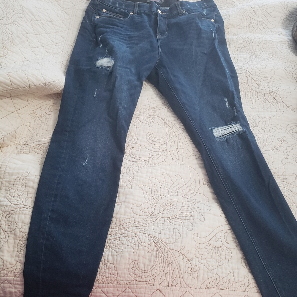 Torrid Jeans